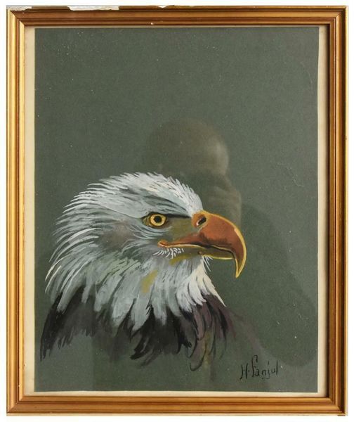 Eagle Head Watercolor Study By Henri Fanjul